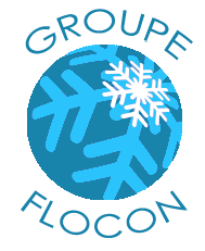 GroupeFlocon.png