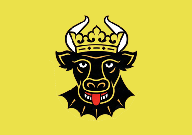 Fichier:Drapeau SilversteinCMV.png