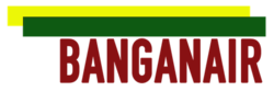 LogoBanganair.png