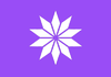 DrapeauASPALEM2016.png