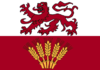 Drapeau BrevskCMV.png