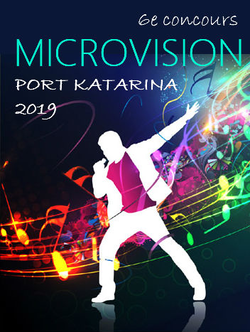 Microvision6.png