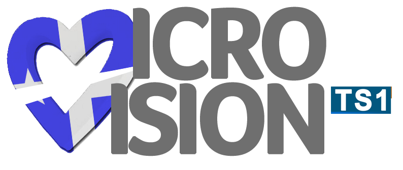 12e concours Microvision de la Chanson à Kaïtaïn (Mézénas) Microvision-SKO